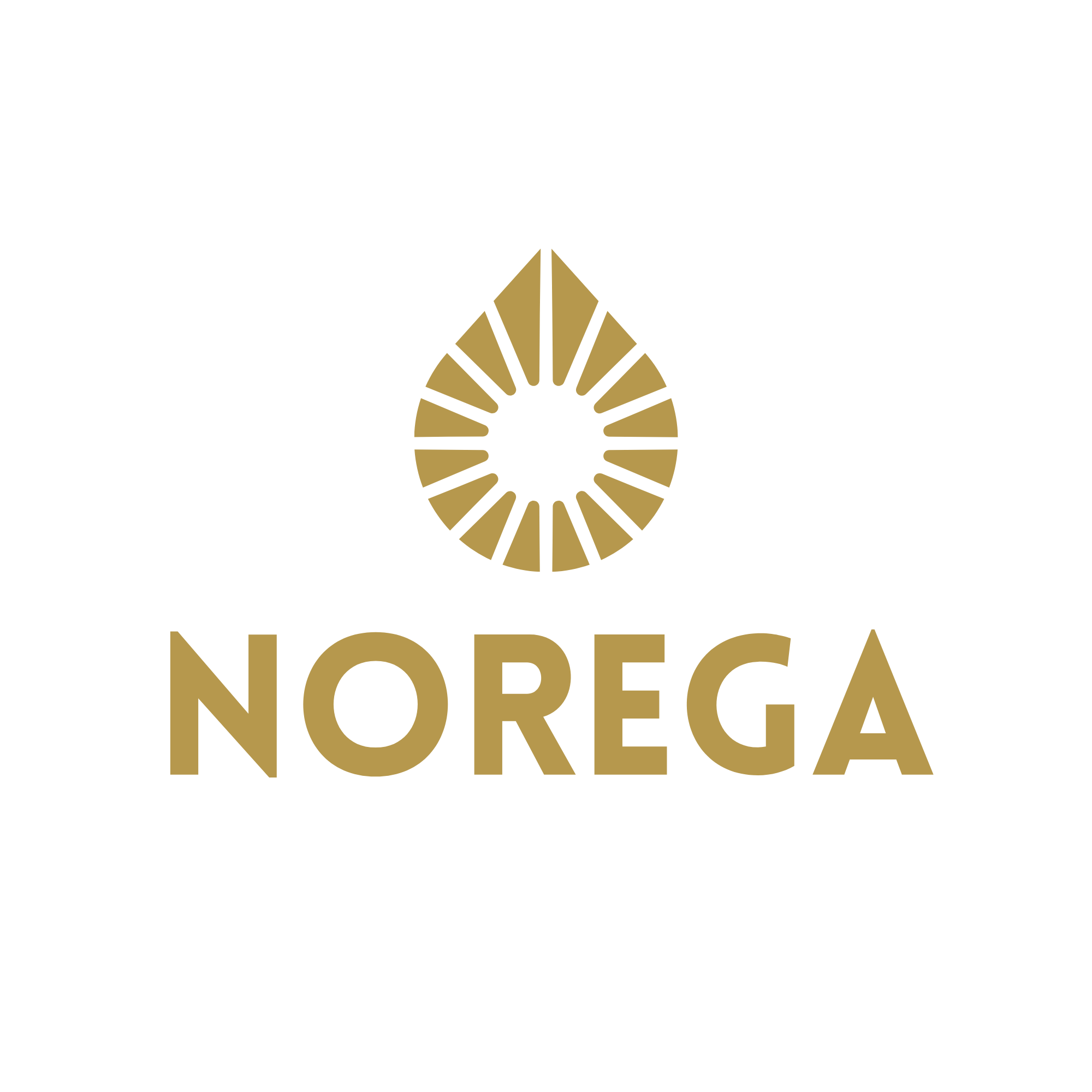 Norega